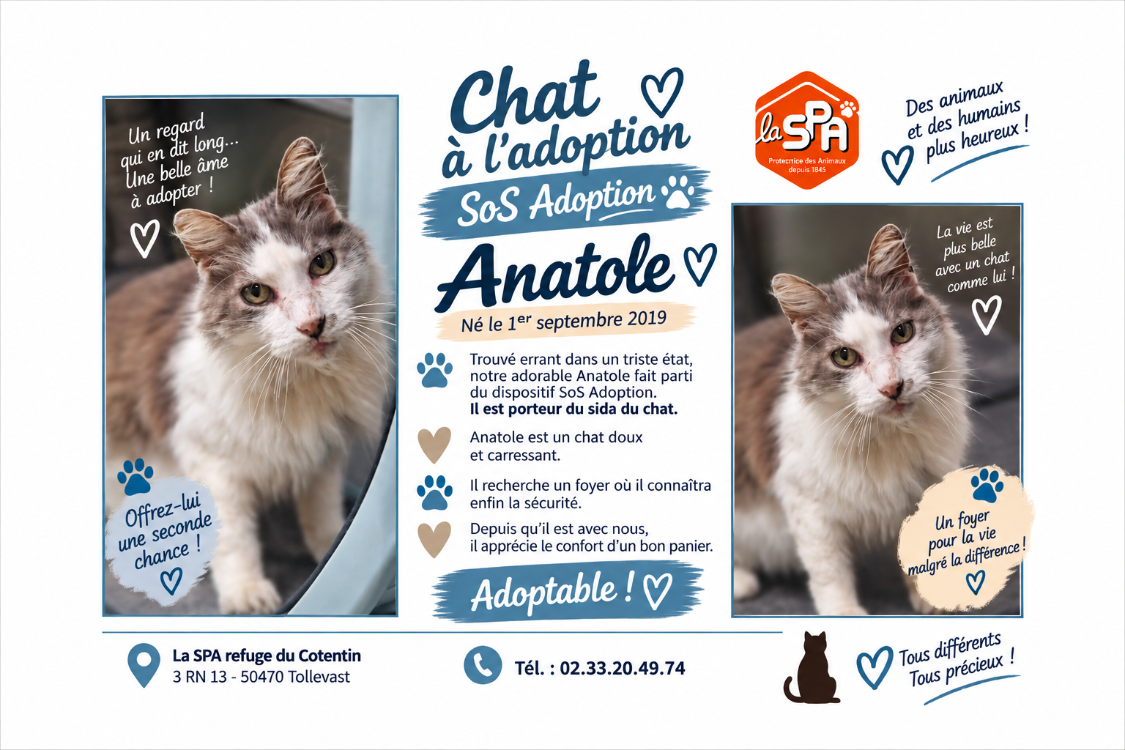 ANATOLE