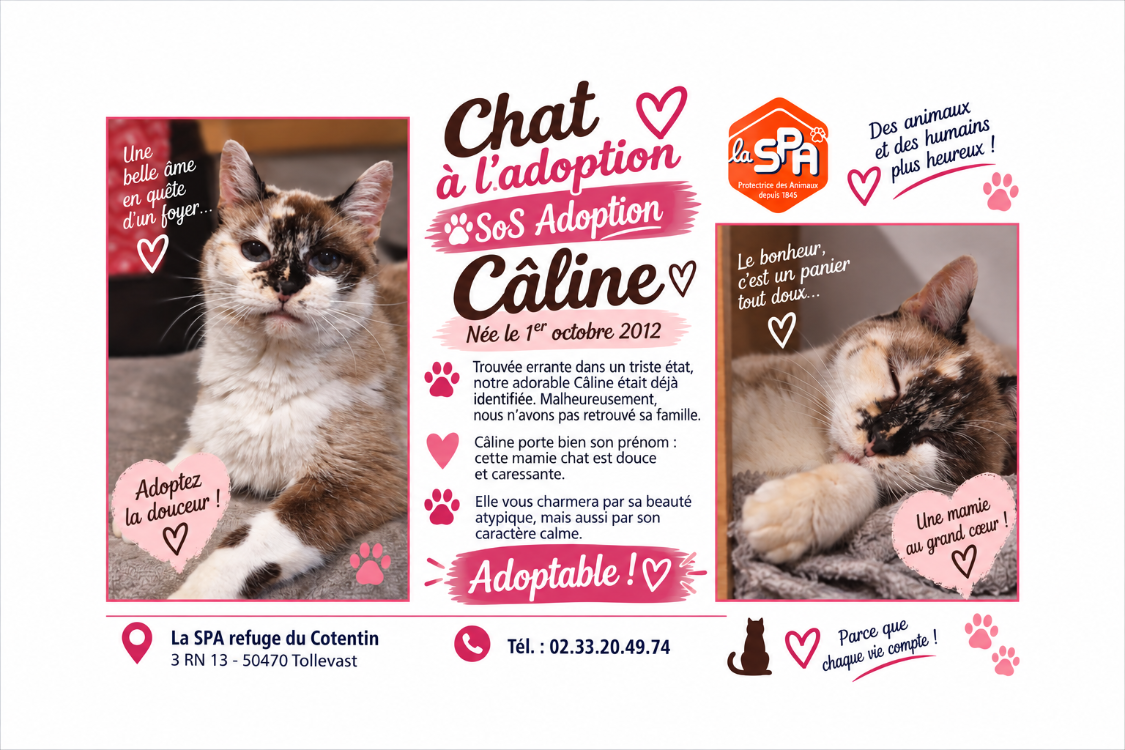 CALINE