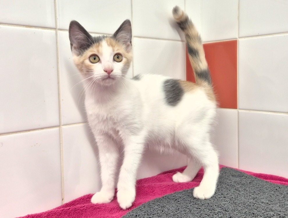 BIANCA (réservée)