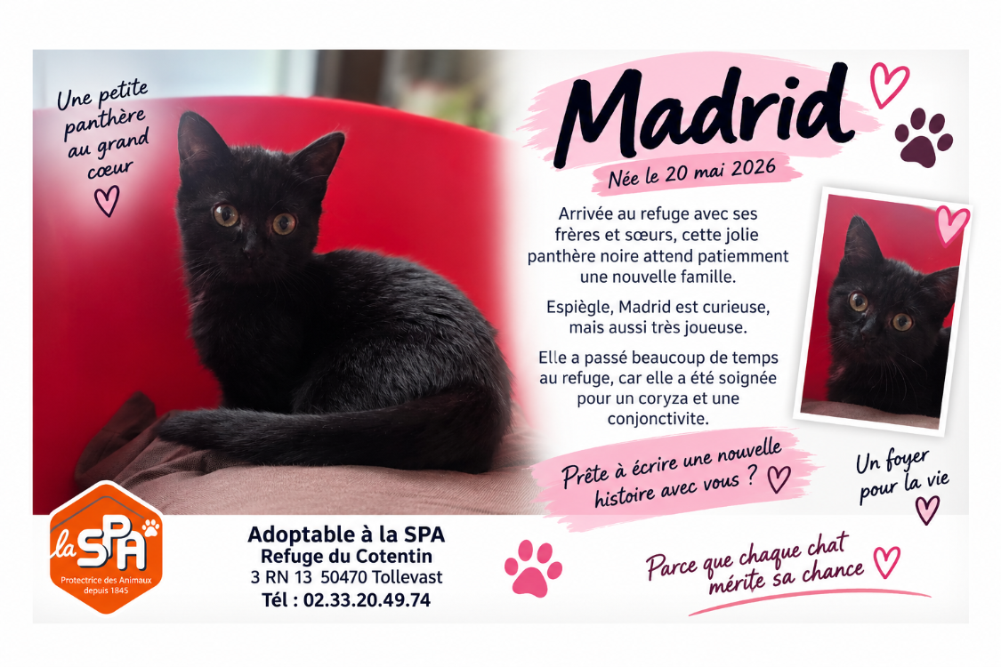MADRID