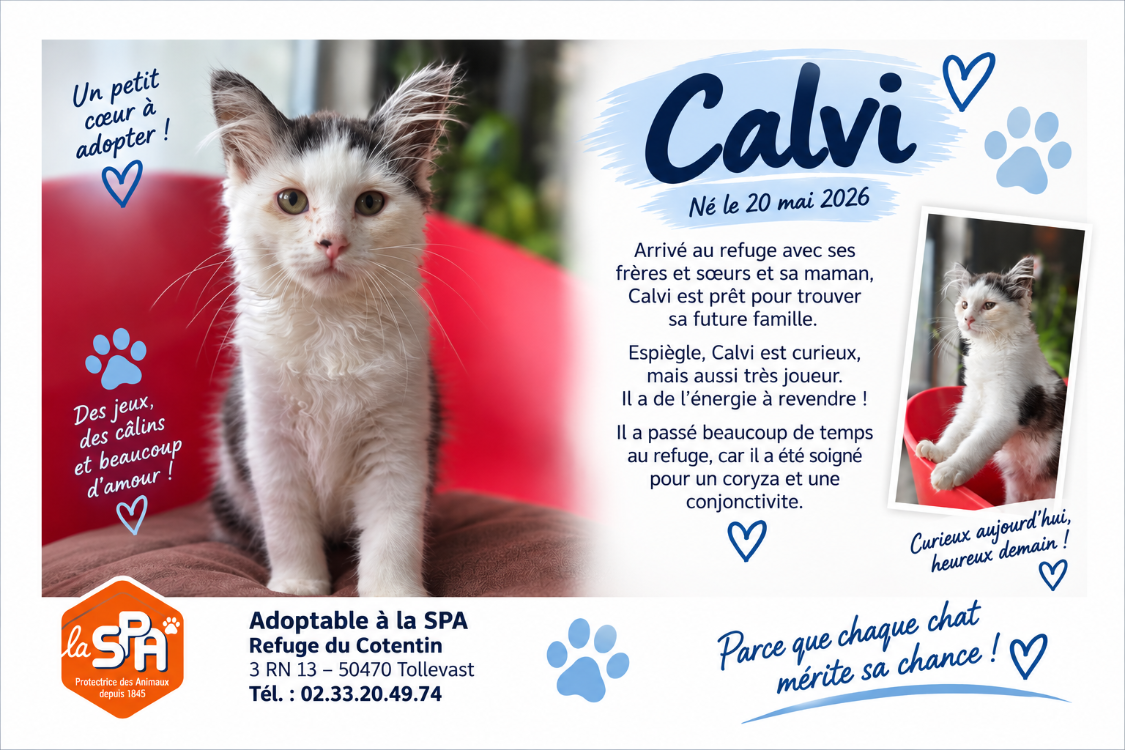 CALVI (Réservé)