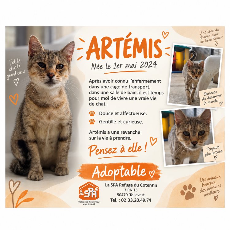 ARTEMIS