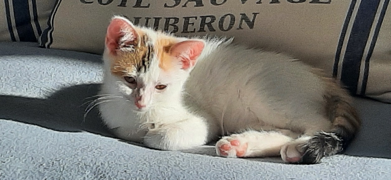 Réservée lili