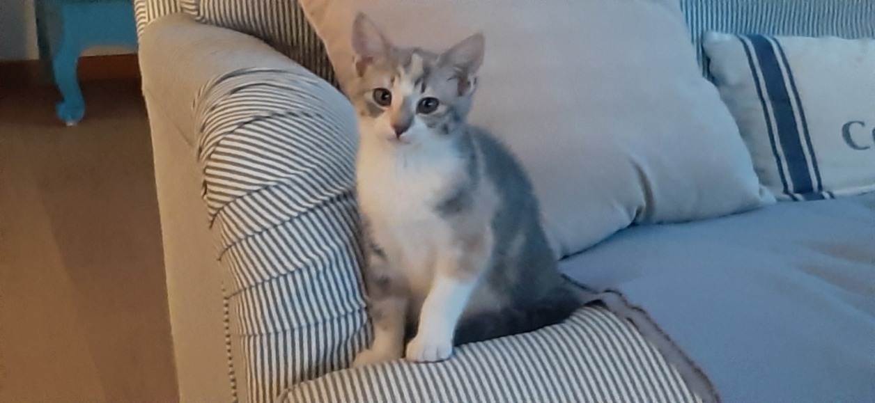 nala