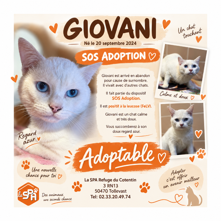 Giovani / Vadrouille