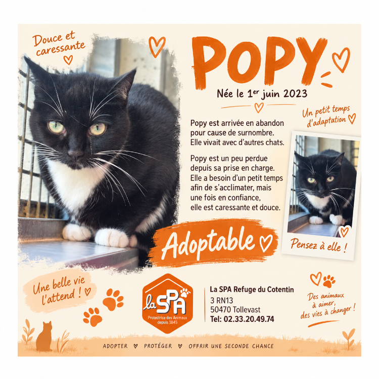 POPY
