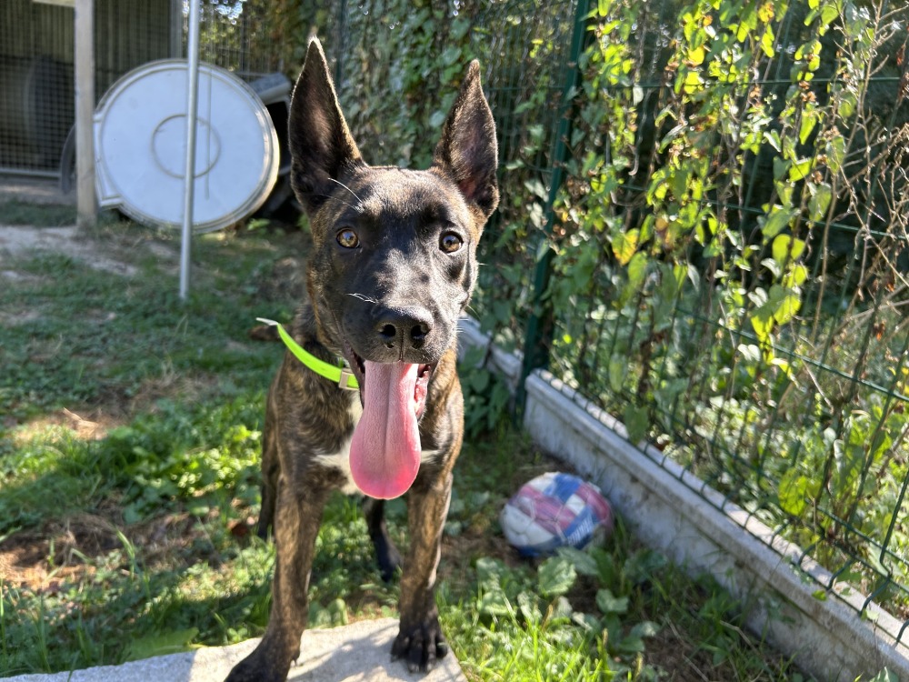 BENNY
