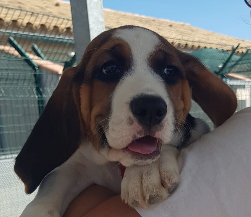 Billy
