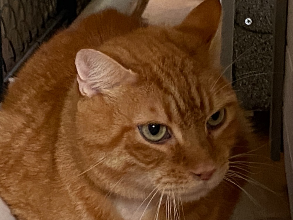 MITSOU