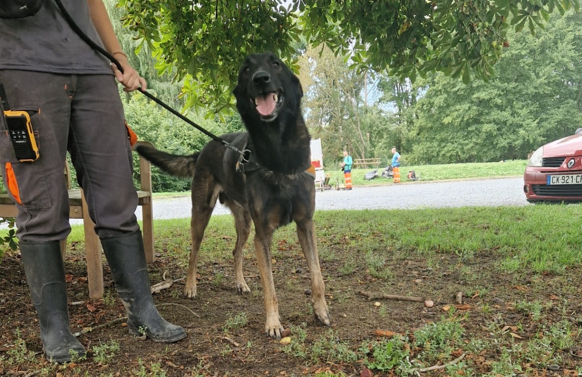 LEIKO
