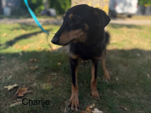 Charlie