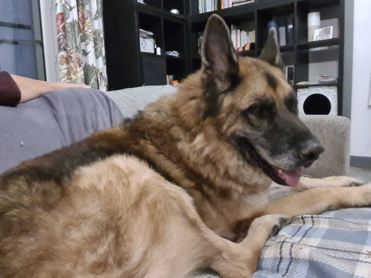 JO