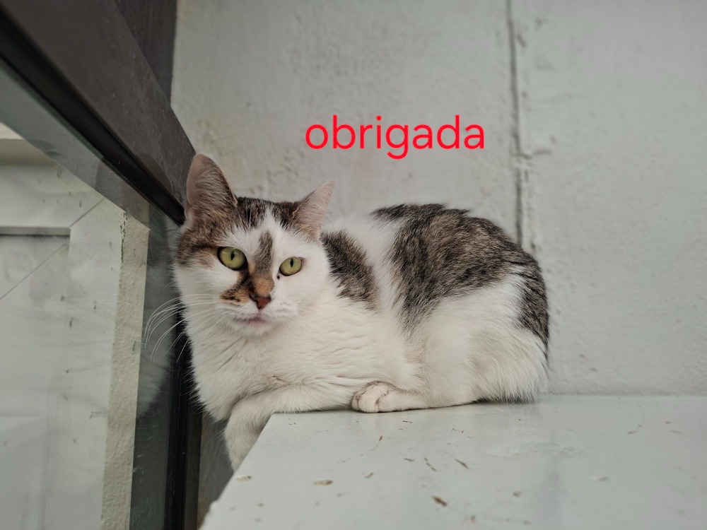 OBRIGADA