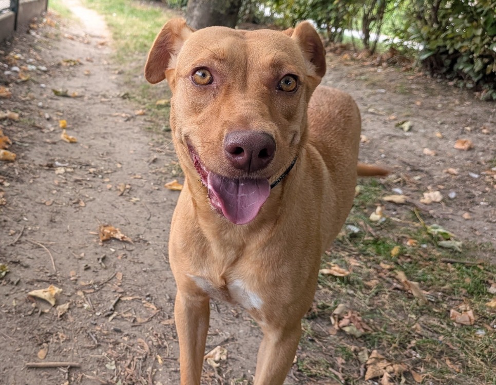 NALA