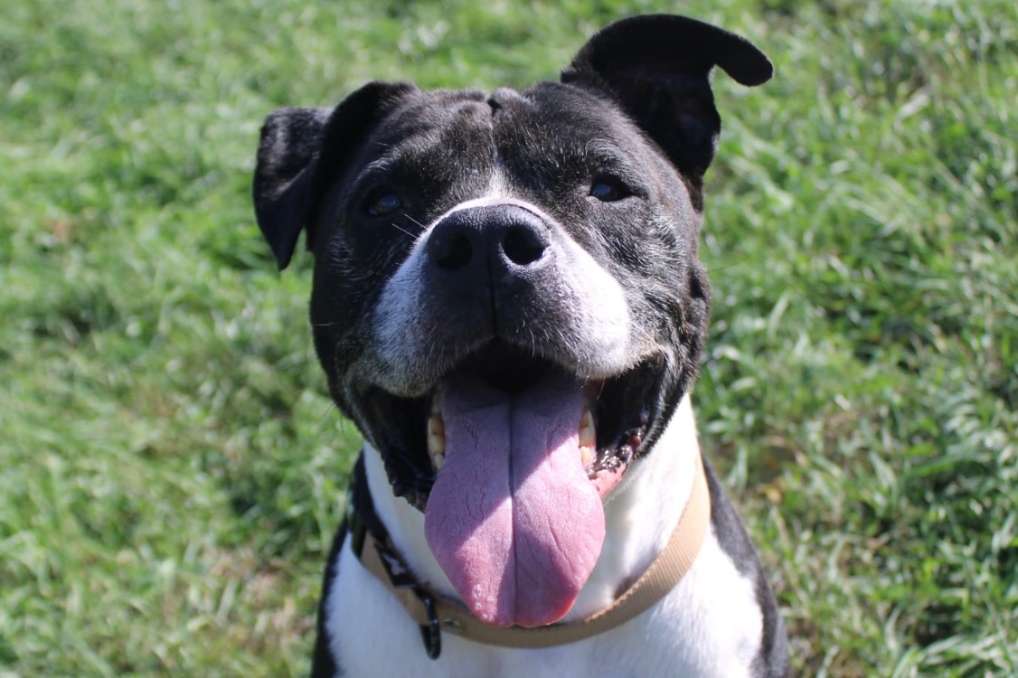 tyson