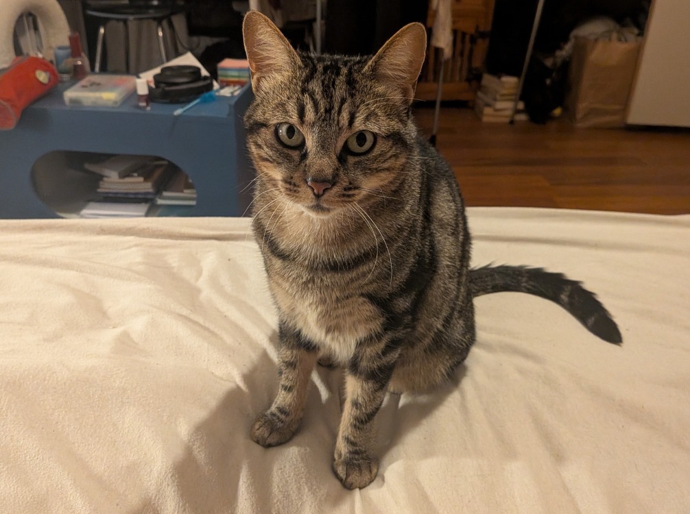 Nala