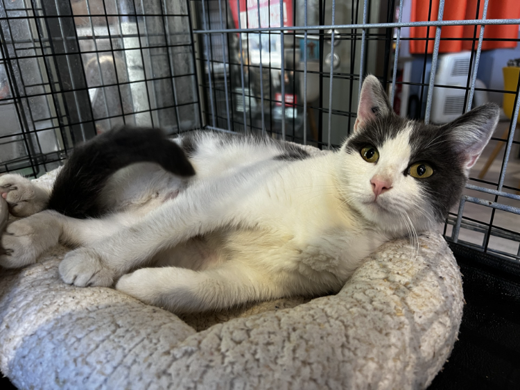 MIA (Réservée)