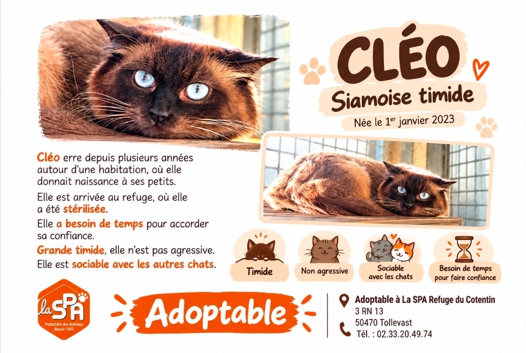 CLEO