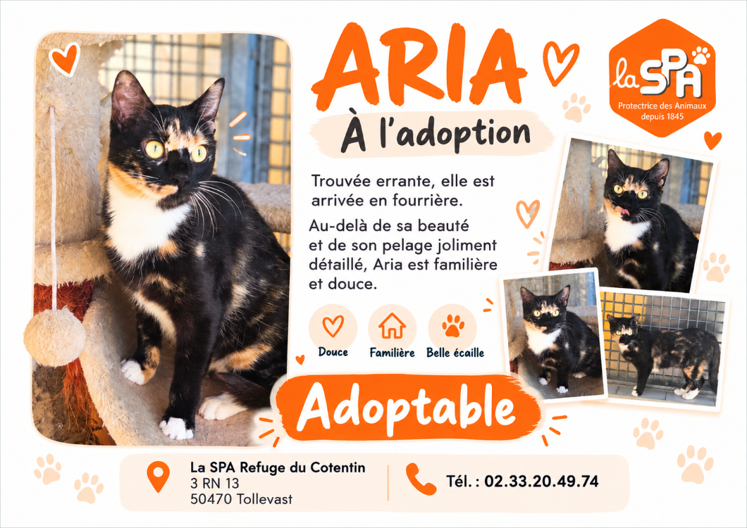 ARIA (Réservée)