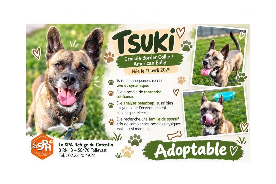 TSUKI