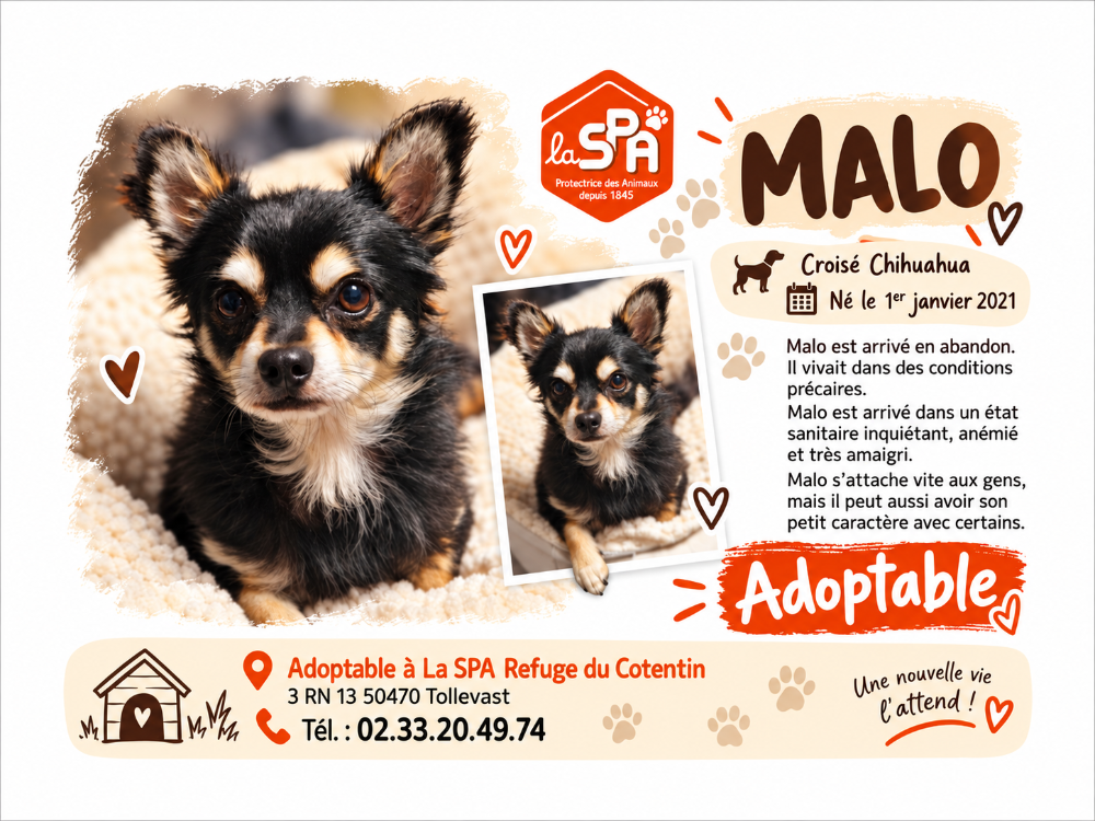 MALO