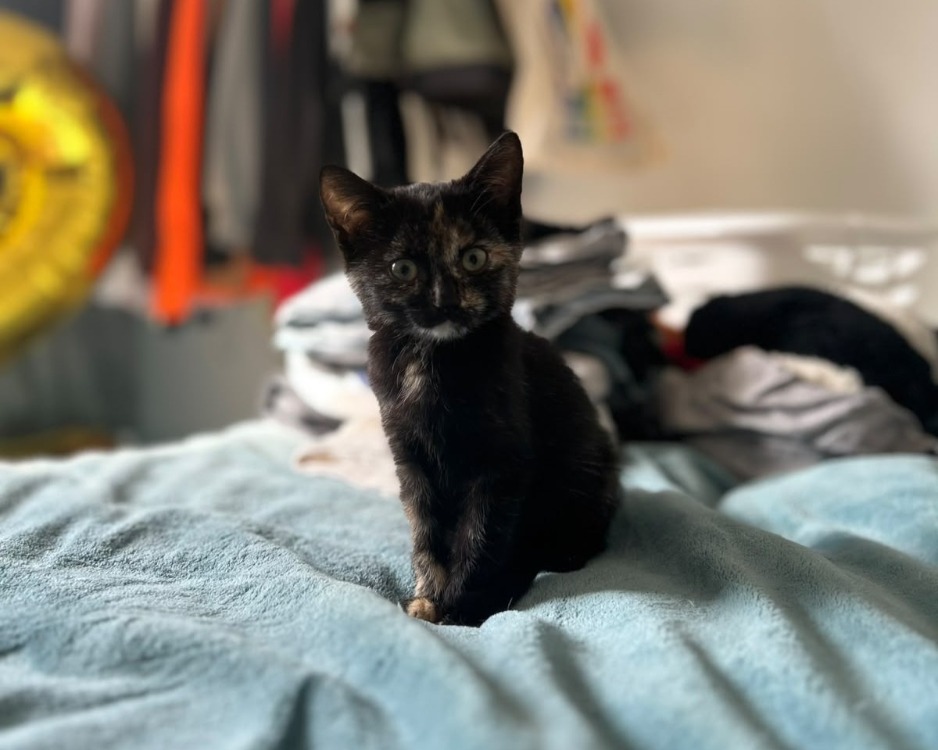 ROUBINE alias MILLIE