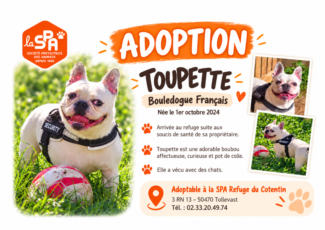 TOUPETTE réservée