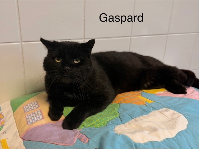 Gaspard