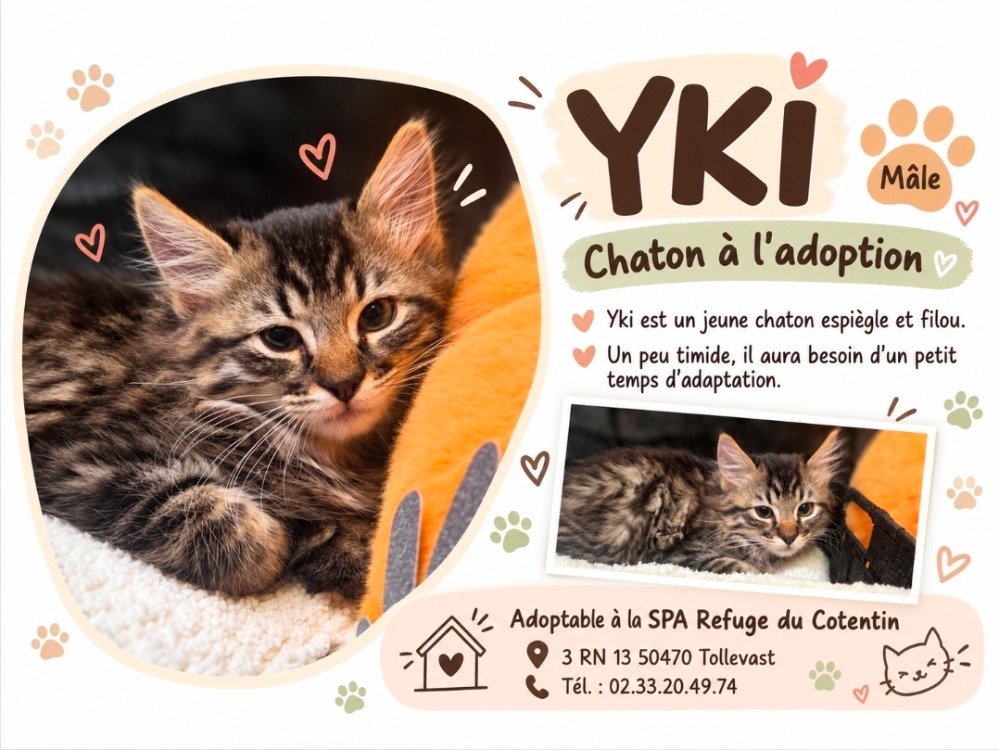YKI