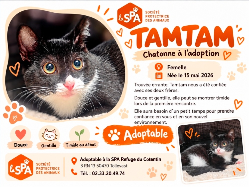 TAMTAM