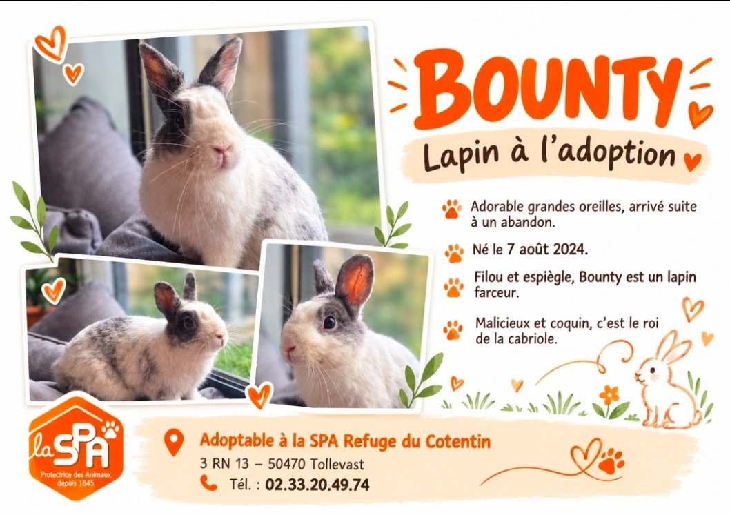 BOUNTY