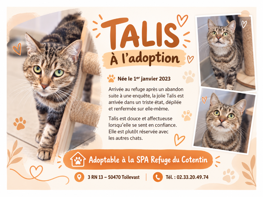TALIS