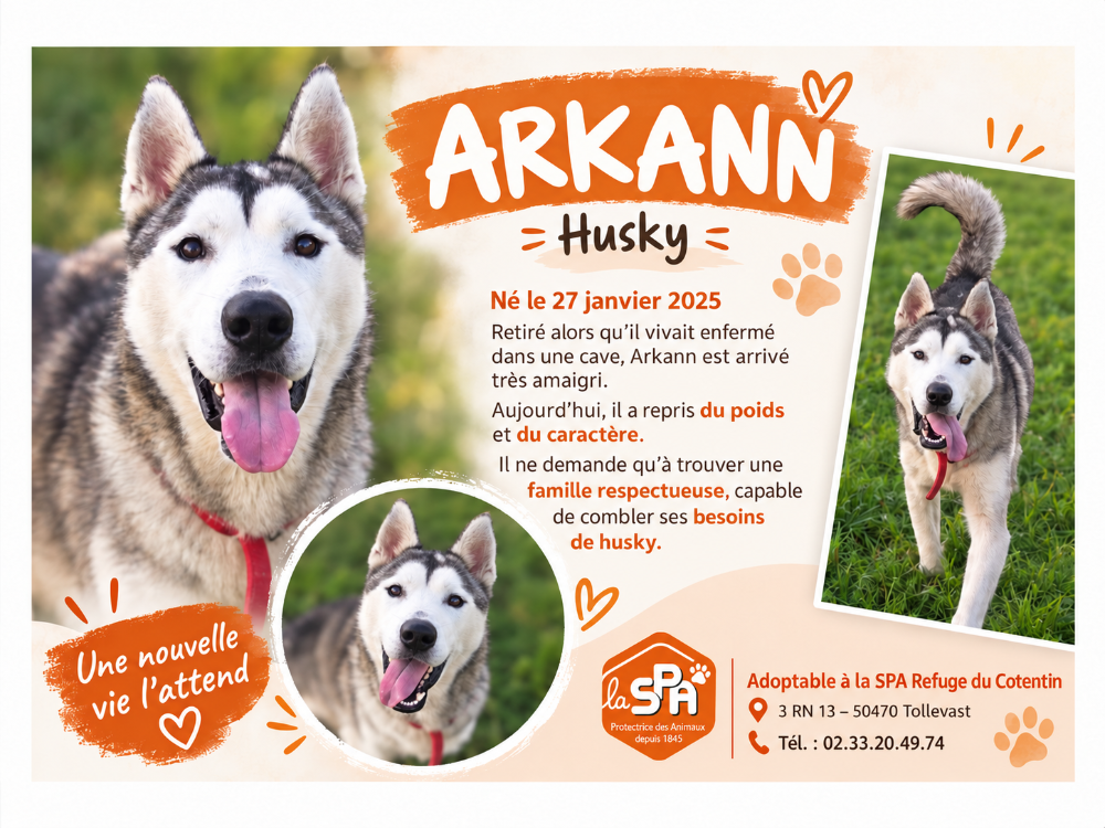 ARKANN