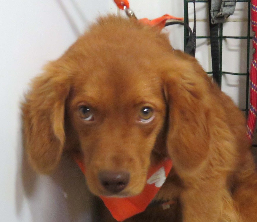 BILBO