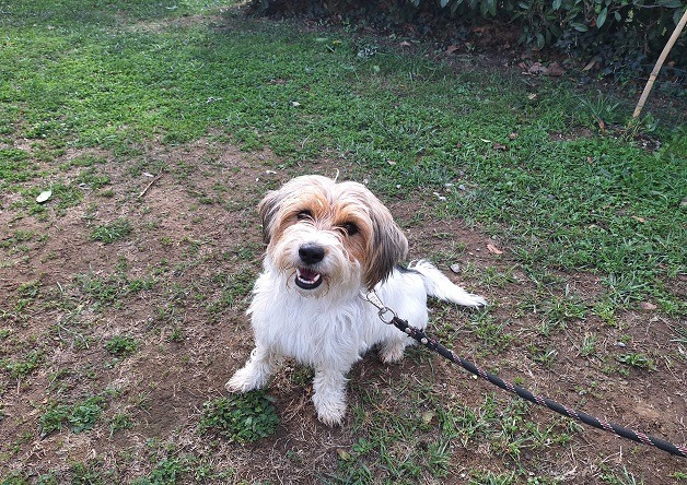 XENA (a trouve sa famille)