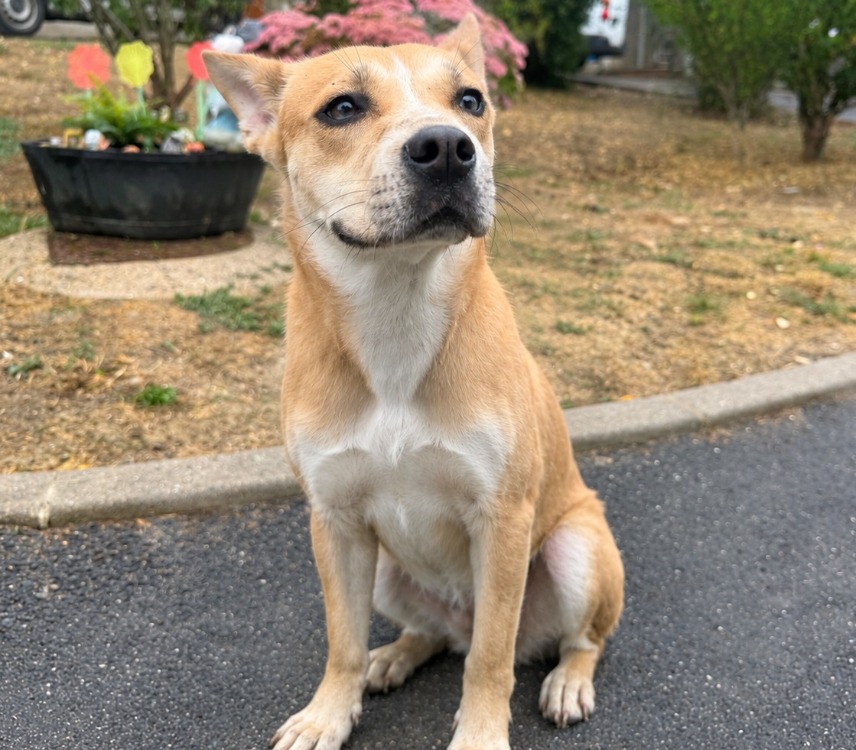 HERA