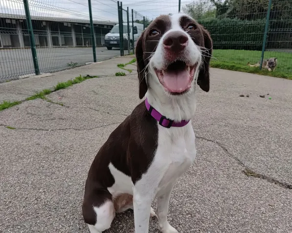 NALA