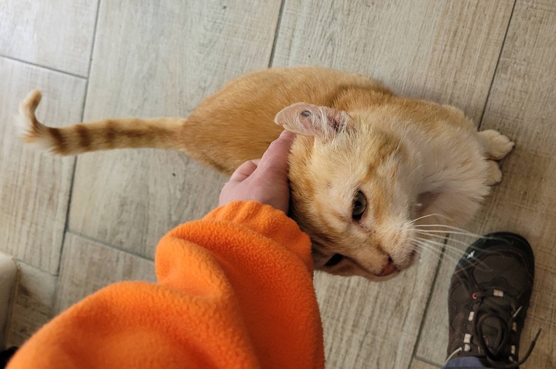 SYLVIO (Réservé)