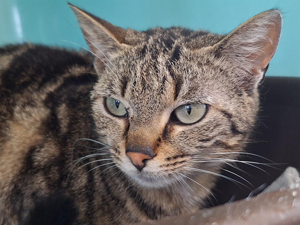 Titou réservée