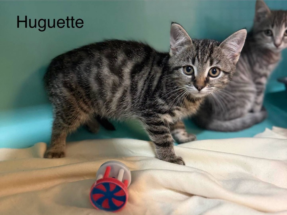 Huguette