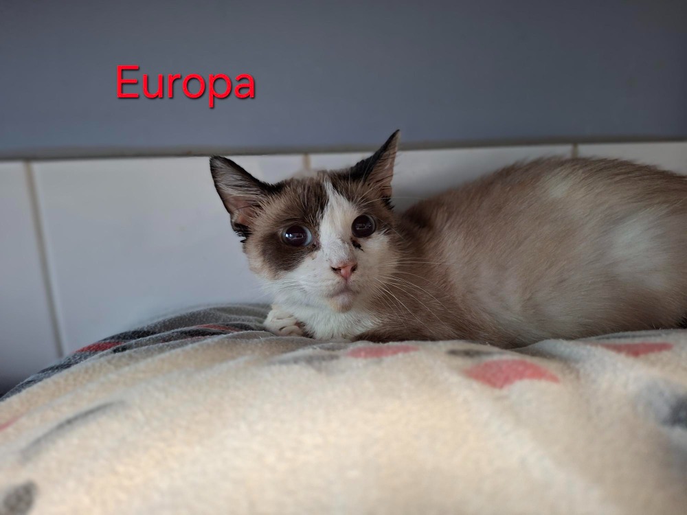 Europa