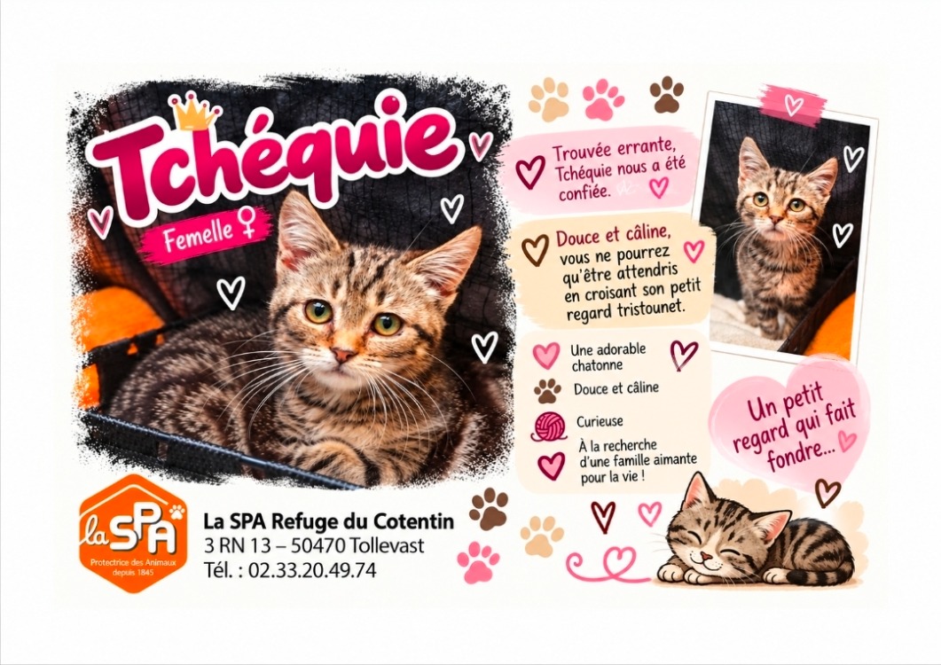 Tchéquie réservée