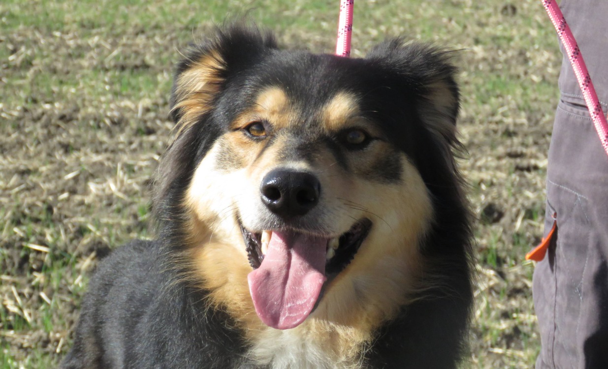 SKY (RESERVE)