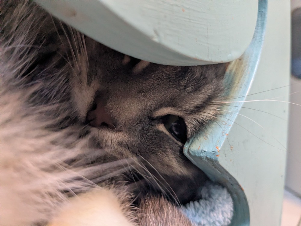 NALA