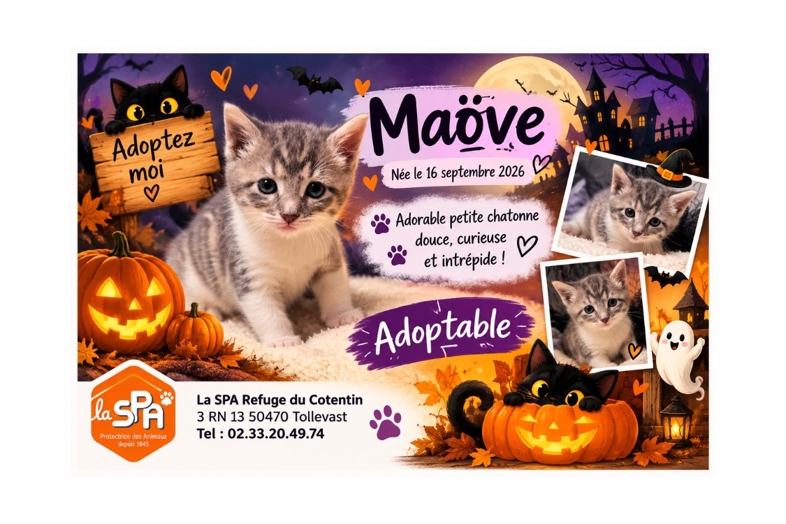 CANDY / MAOVE  (Réservée)