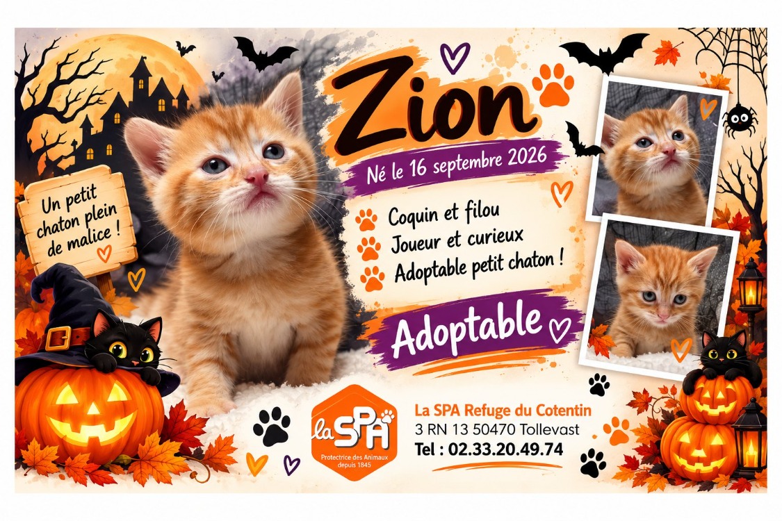 ZION