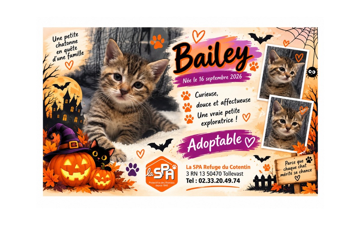 Bailey