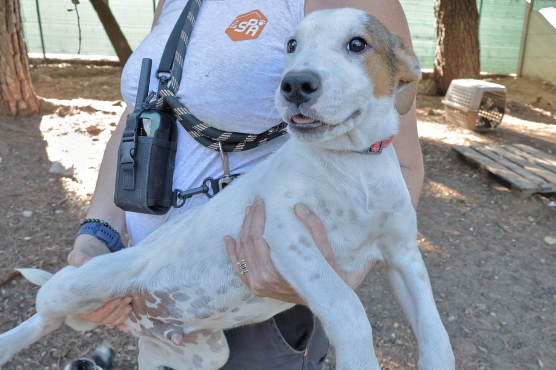 Florette (réservée)