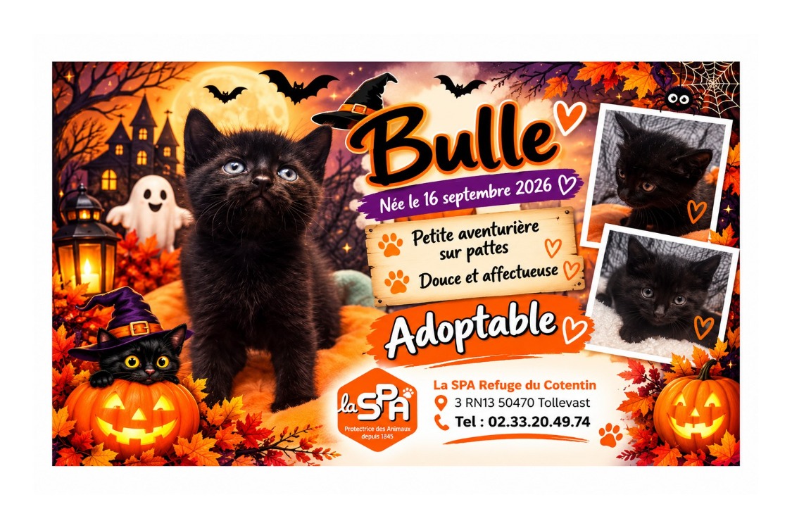 BULLE