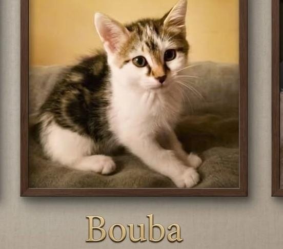 BOUBA